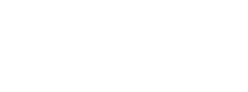 AirlineName